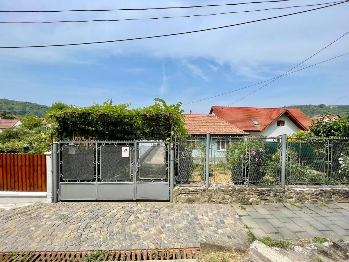 Willa Anton Pann House - Entire House Below The Citadel Sighișoara Zewnętrze zdjęcie